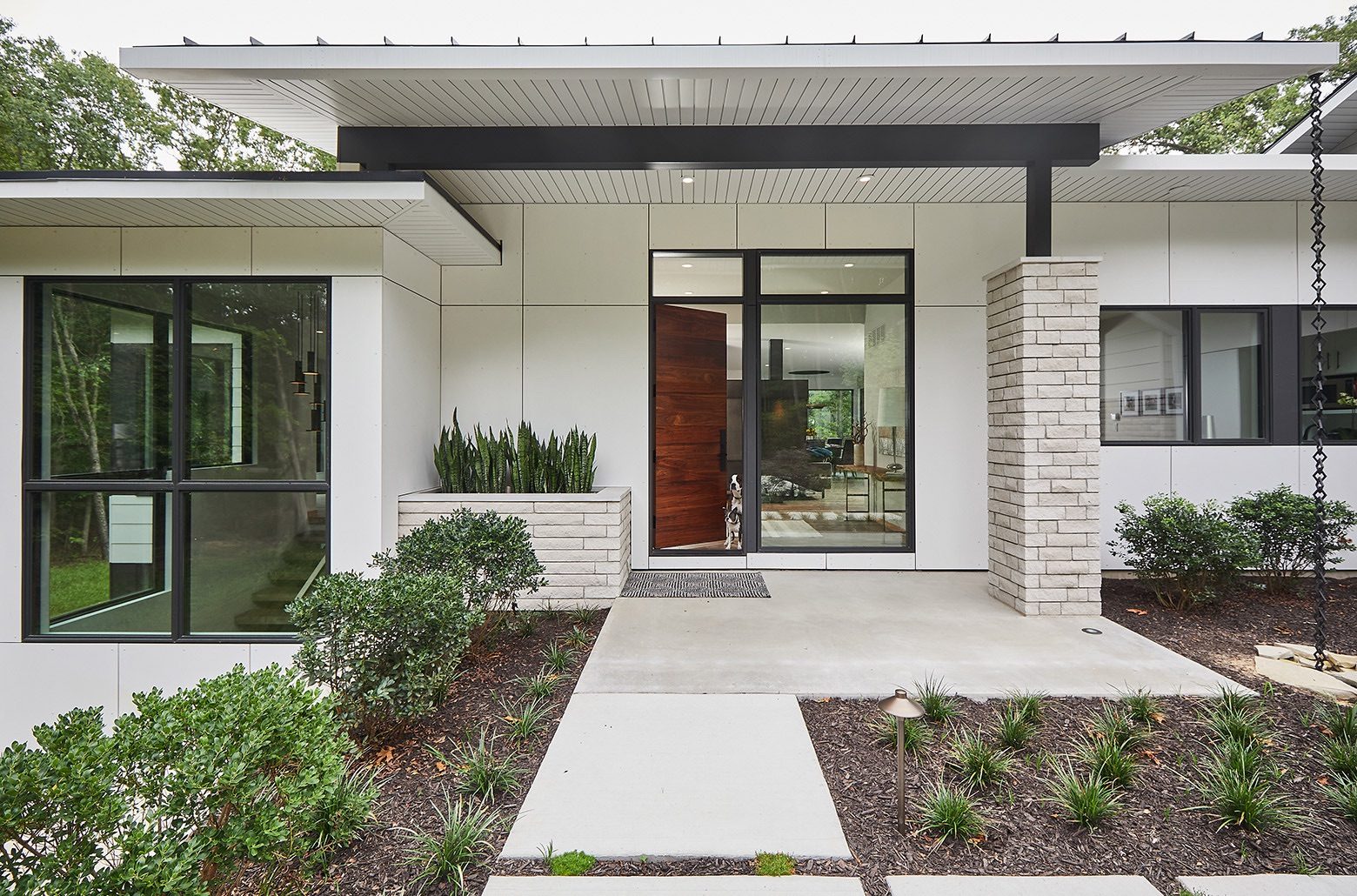 Dog waiting in the entryway of a white modern home